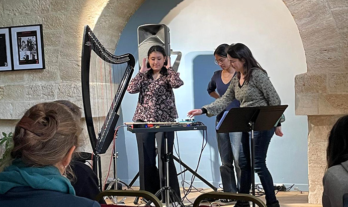 atelier harpe électrique